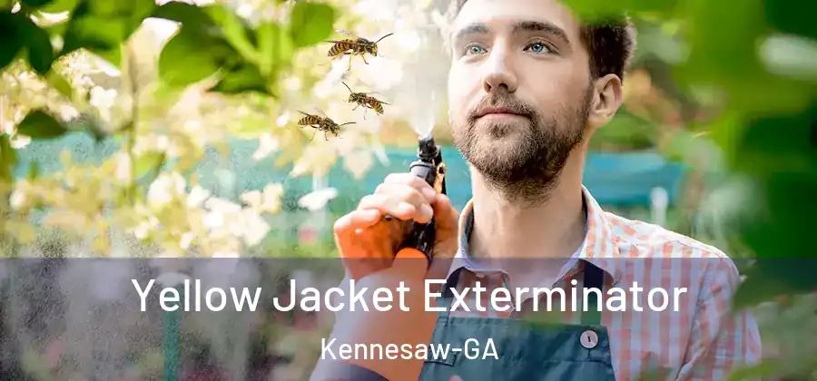  Yellow Jacket Exterminator Kennesaw-GA