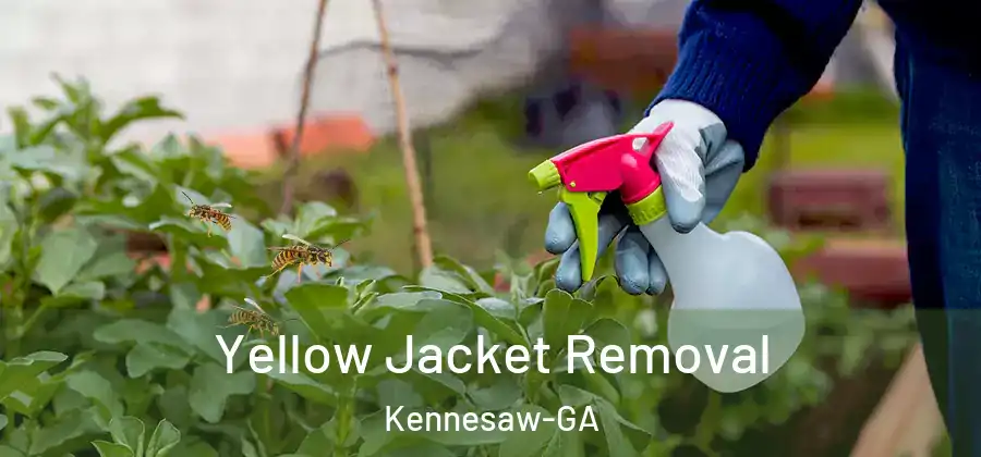  Yellow Jacket Removal Kennesaw-GA